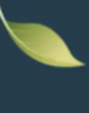 SEDAT KILINÇ İNŞAAT